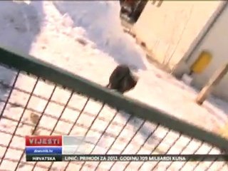 Zabranio glasanje životinja ili kazna 100 eura