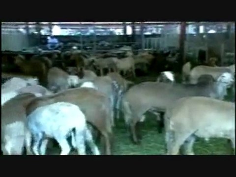 manassek hadj 02 مناسك الحج والعمره