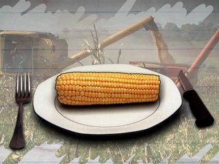 Les organismes génétiquement modifiés