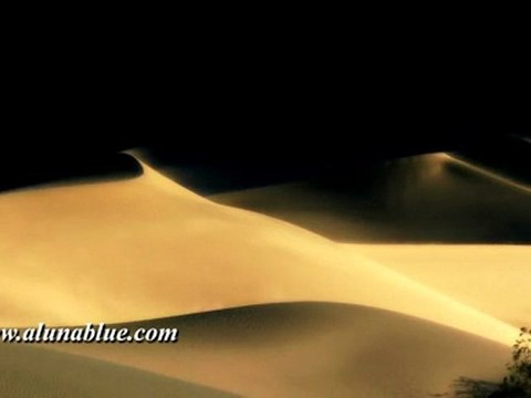 Stock Footage - HD Stock Video - Dunes clip 01