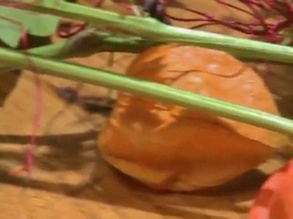 La Taverna - Restaurant Hotel Traube in Lienz