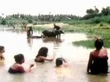 Thunaiyeruppal Bannari - Hot Chicks Bathing at River