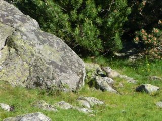 ballade au lac de l'oule (pyrénées)