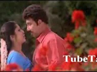 Chinna Chinna Pookkal...