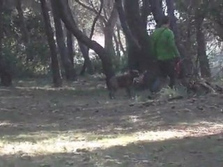 Lilly Prise en Main 1