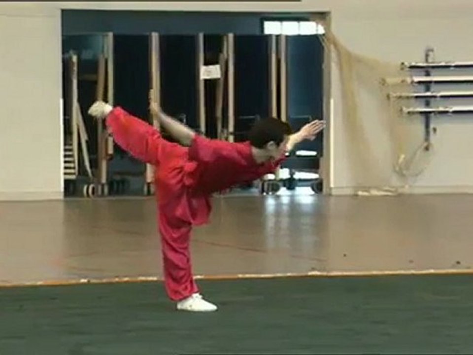 WU SHU ou mode d'emploi d'un art de vivre : le CHANG QUAN