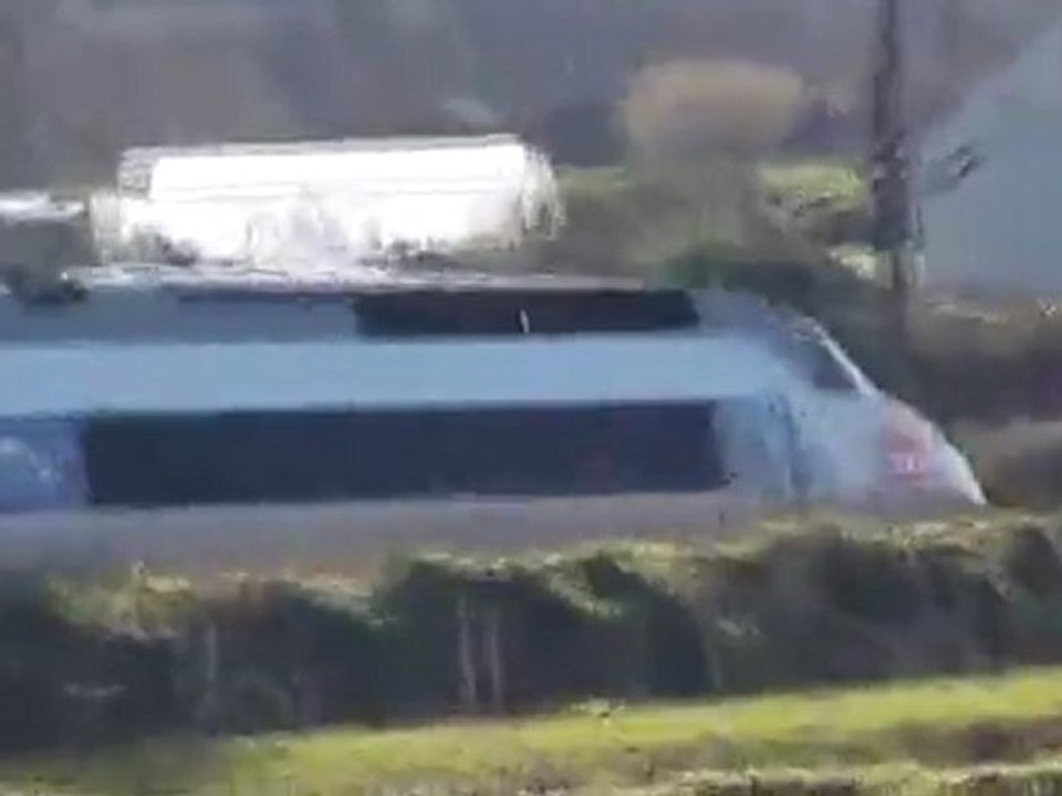 Tains TER et TGV  nature