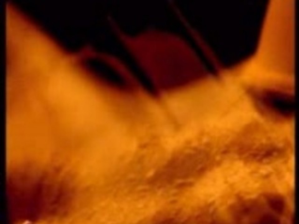 Humphrey & Busta Flex- Qu.est C...