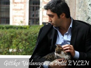 Kurtlar Vadisi Pusu Piyano 2:)