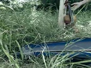 Für wer geblieben ist