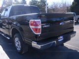 2009 Ford F-150 for sale in Nashville TN - Used Ford by EveryCarListed.com