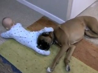 Linus the Boxer loves his baby!!!