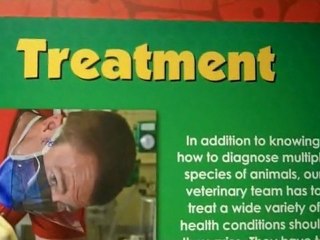 Busch Gardens Animal Care Center