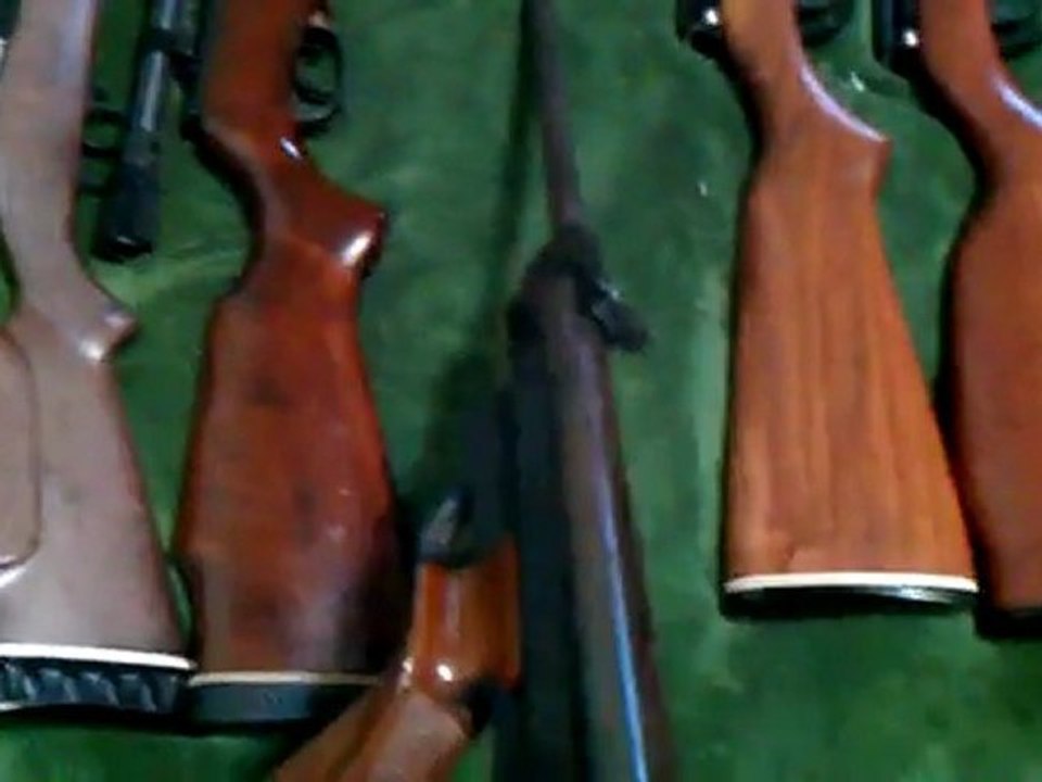 Pellet gun collection