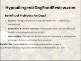 Probiotics For Dogs - Hypoallergenic Dog Food Info And More!