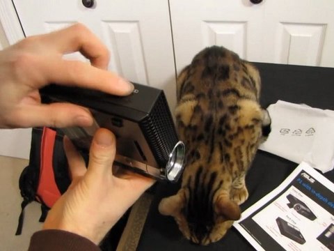 ASUS P1 Mini 1280x800 LED Data Projector Unboxing & First Look Linus Tech Tips