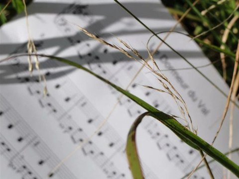Le Dormeur du Val - Musique - Philippe Villa - Piano - Poésie Rimbaud