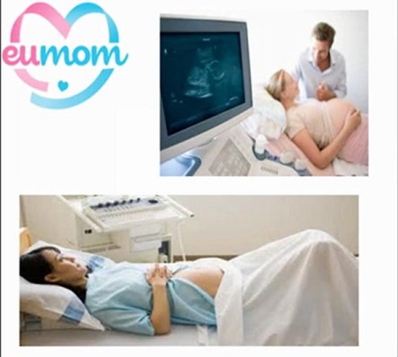 Pregnancy Week By Week - An Experience Beyond Expression