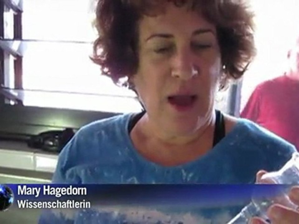 Tiefgefrorene Korallen sollen Meeresriffe in Australien retten