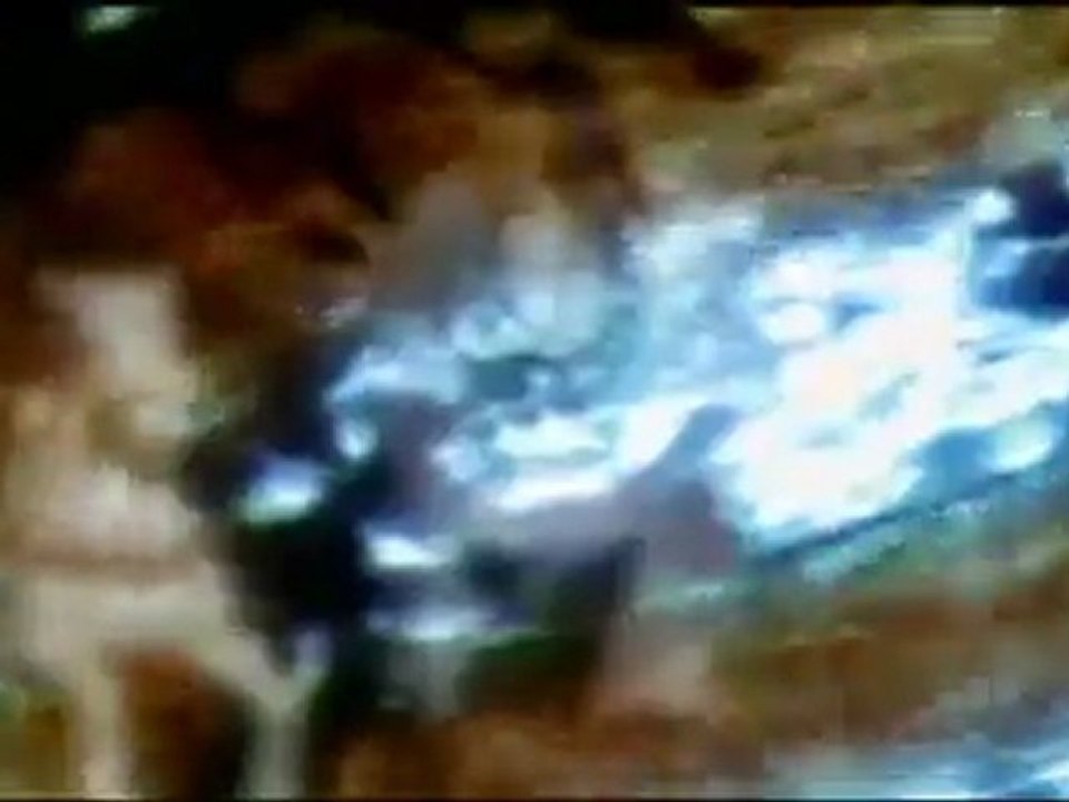 Plastic Tree - Replay