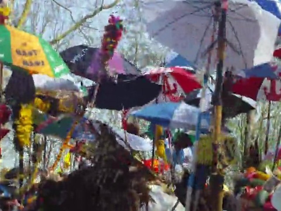 Bande de Wormhout 2011 (Carnaval de Dunkerque)