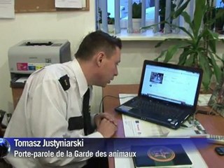 Pologne: "Achetez une laisse à 100 euros, le chien est offert"