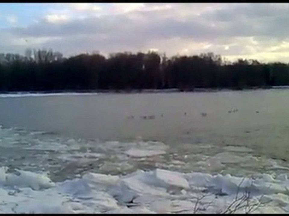 Eisstoß Krems a. d. D. Februar 2012