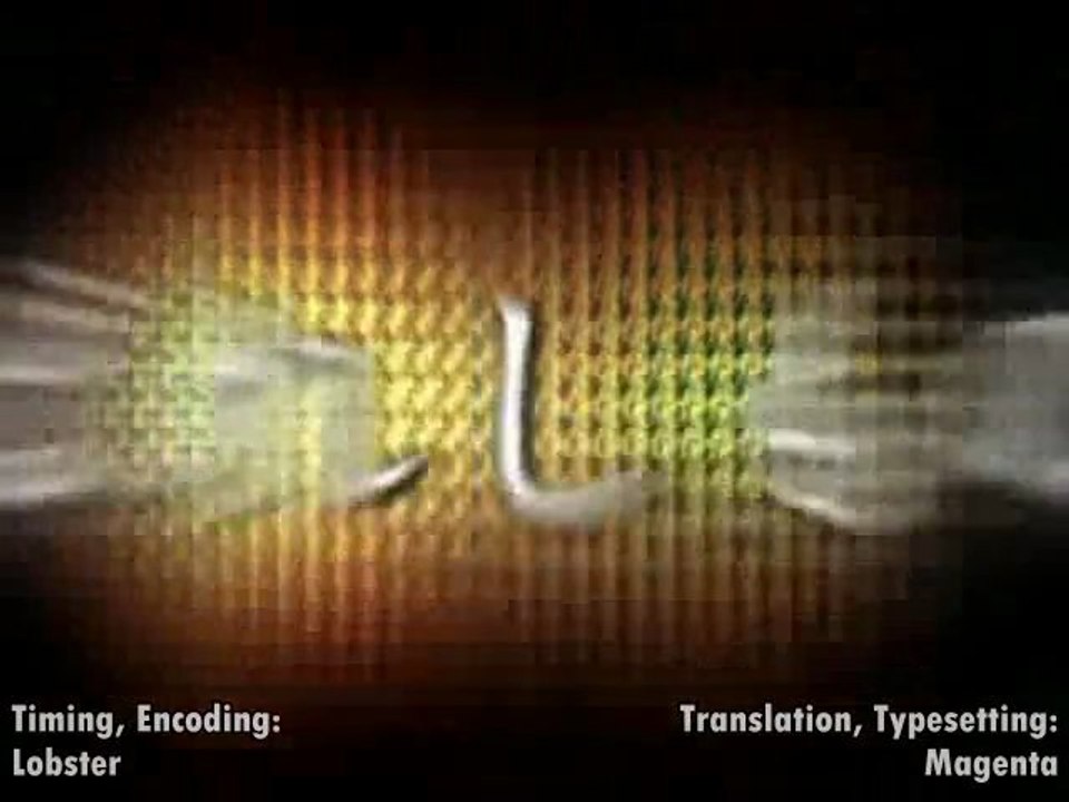 "The Secret Life of Megaman" Otakon 2009 Panel - Part 1