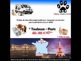 voyage à petit prix pour nos animaux