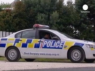 Megaupload founder Dotcom freed on bail