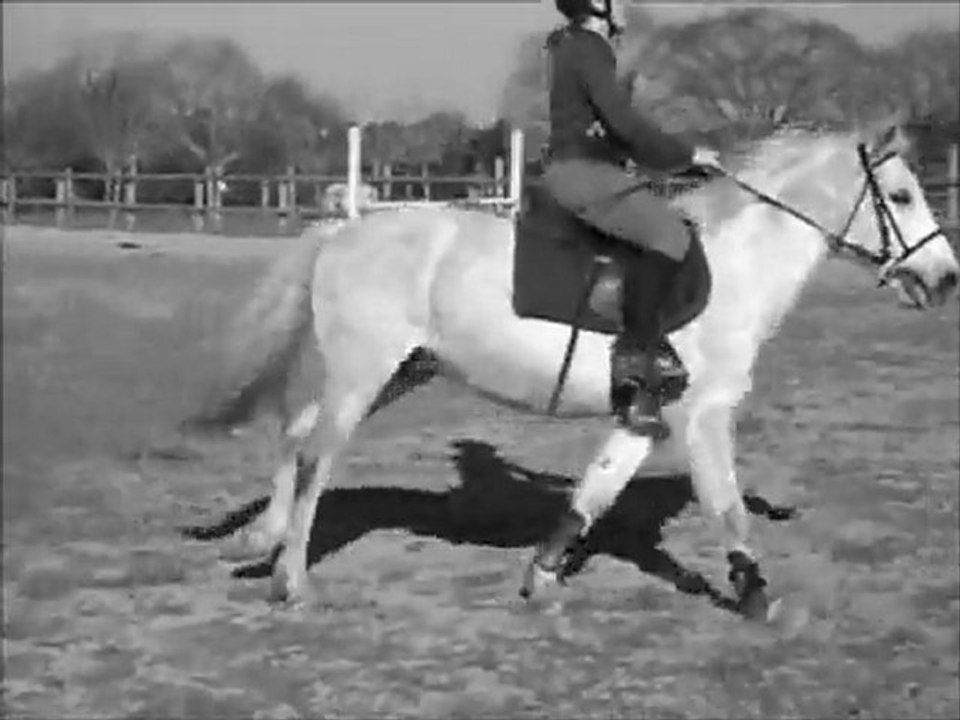 Nagaika Equi-Libre 21/02/12 ♥