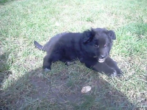 22 février 2012 : premiers pas à l'extérieur