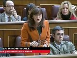 Wert irrita al PSOE en el Congreso