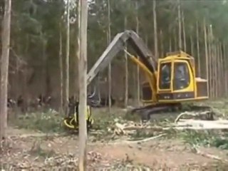 лесоповал по японски