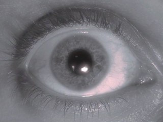 Seconds of Eternity (61/100)