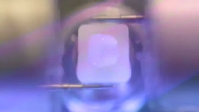 Dentists Randwick Centennial Smiles NSW