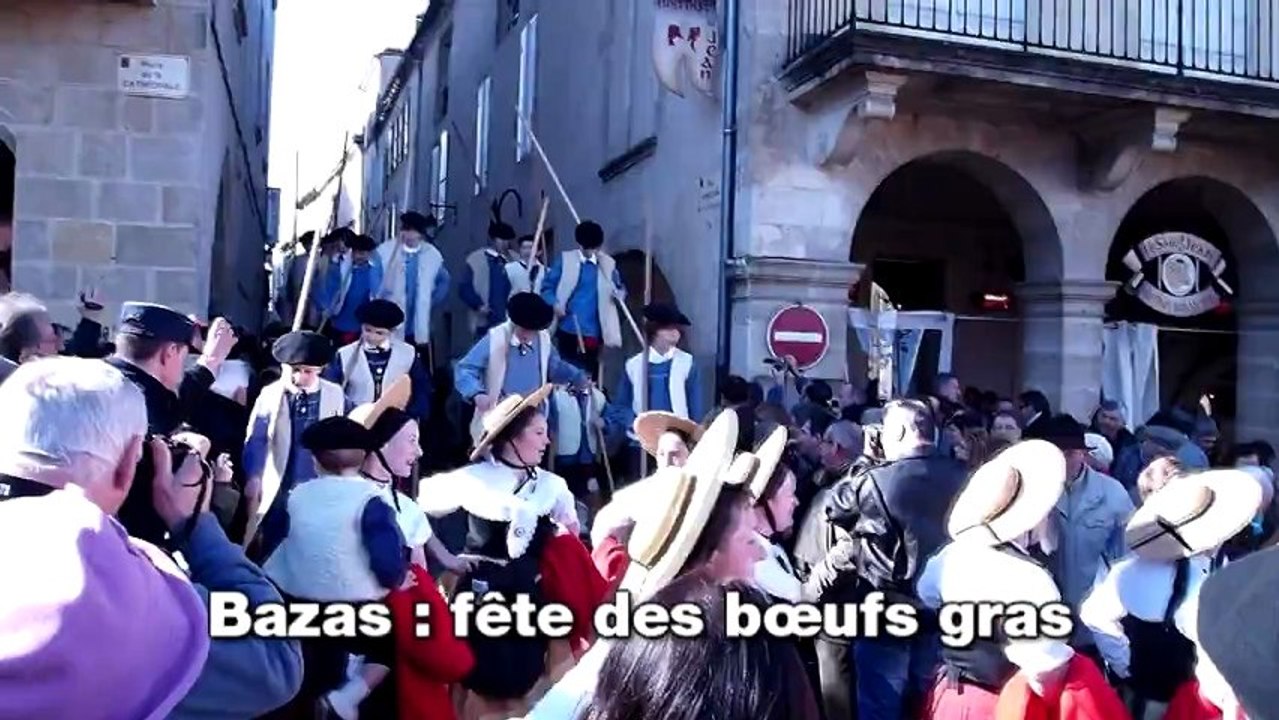 Bazas: bœufs gras