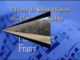 Les chiens de Saint-Hubert des Cabello du Gibey: Pistage Etan & Frany 22/02/2012