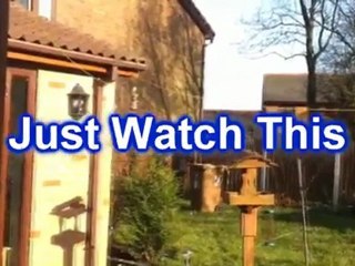 Mother-in-Law Gets Hit by 'Missile' in Garden 😂