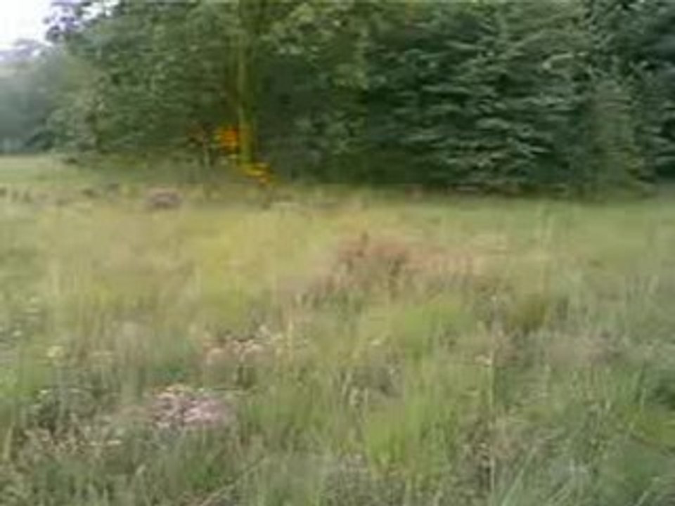 Veldje