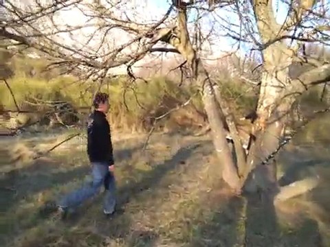 lancer de haches par alexandre