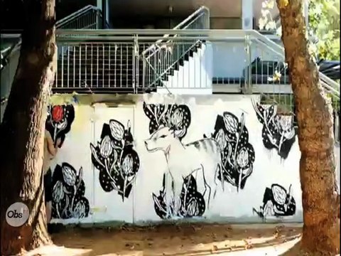 Le Wall motion , quand les murs s'animent