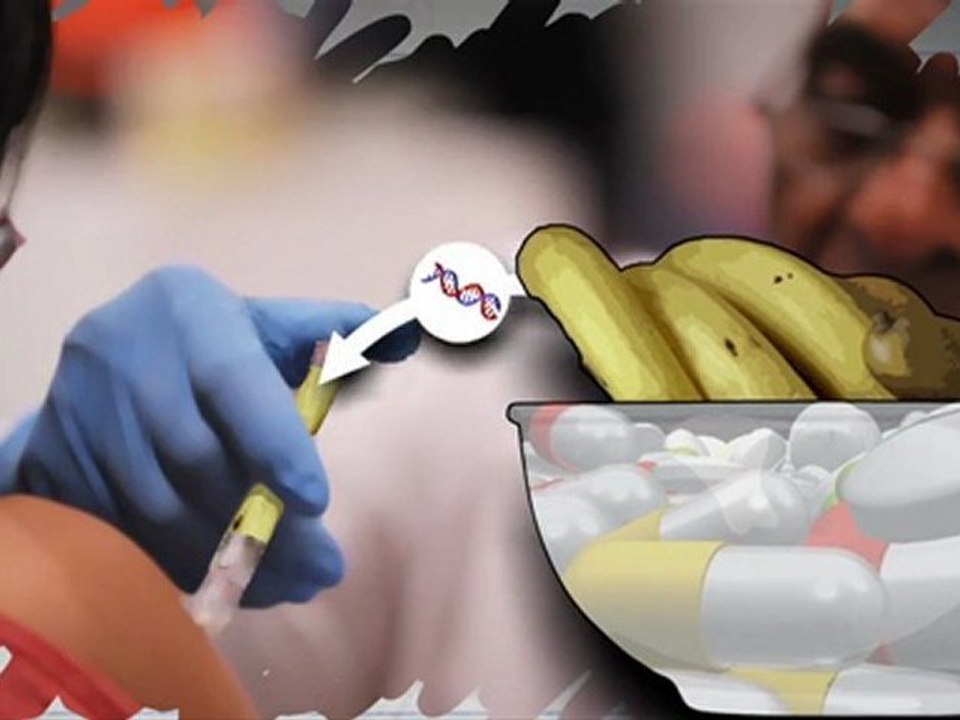 Genetic modification