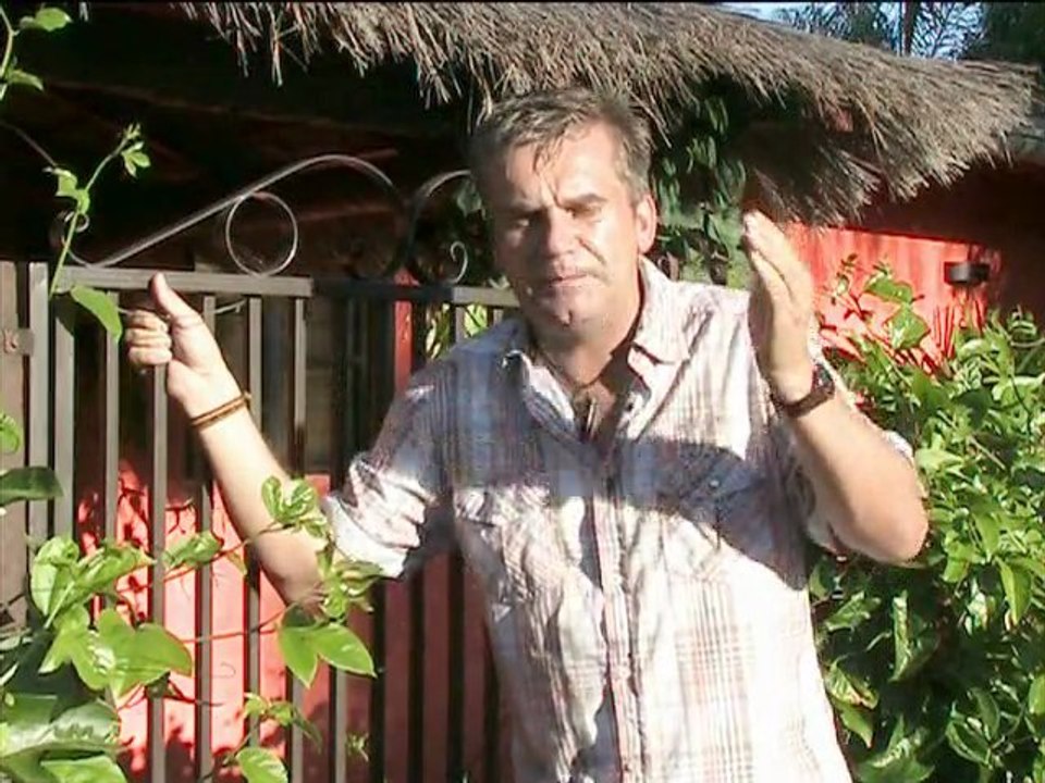 Mehr Geld durch Webstatistik