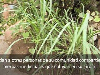 Born HIV Free: Historia de Grace (segunda parte)