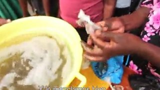 Born HIV Free: Fabricantes de jabón, 1ª parte