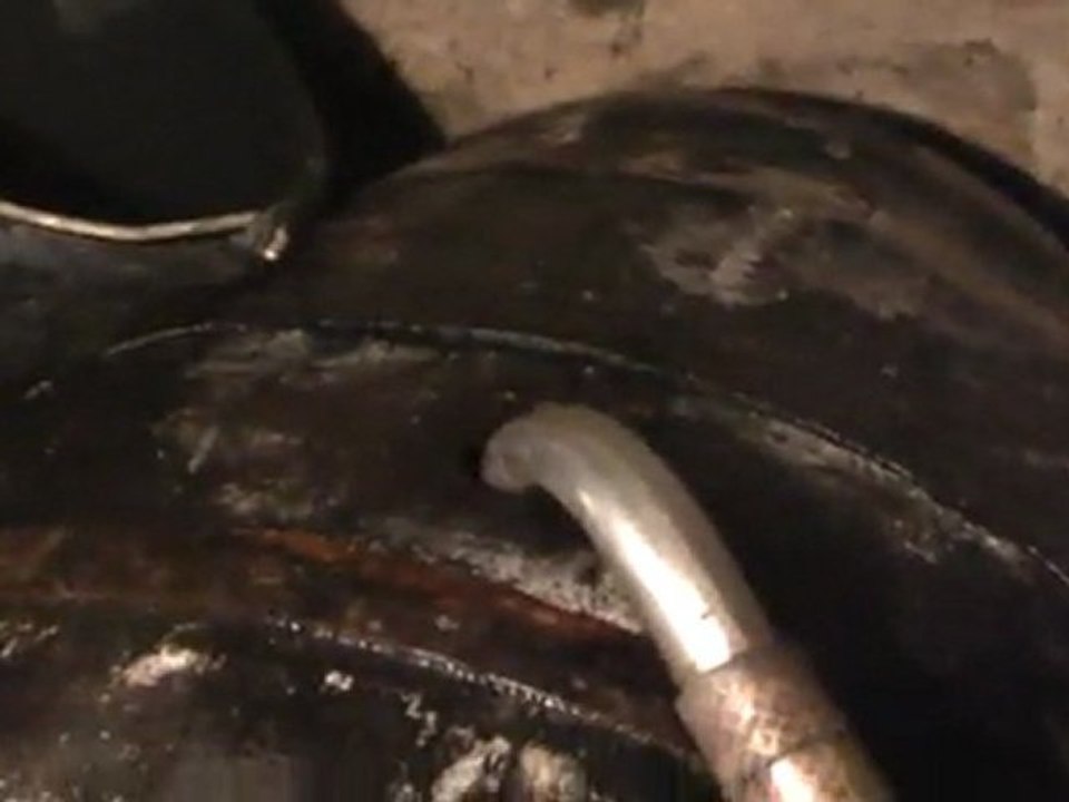 Pressage des pommes à cidre : 4