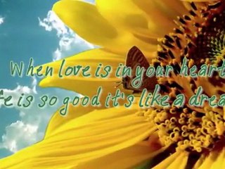 You are my sunshine - Elizabeth Mitchel