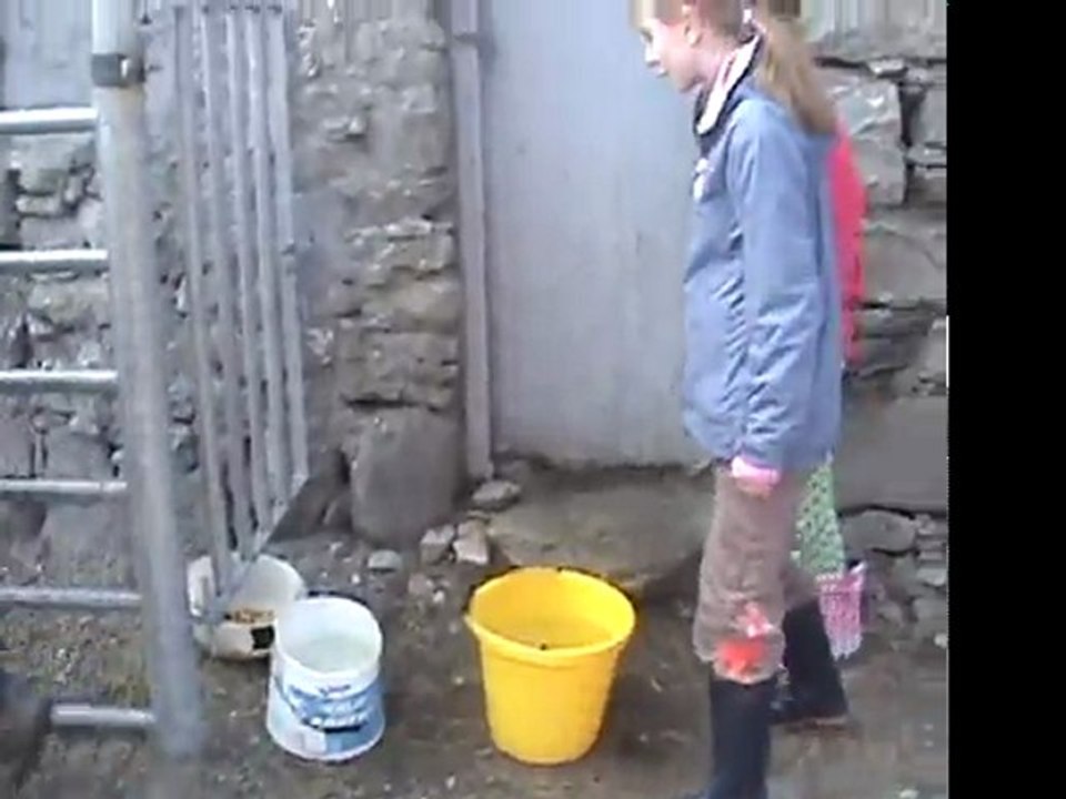 Mar 16 2008 Ireland Trip # 1