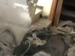 فري برس  حمص  باباعمرو قتل صحفيين 22 2 2012